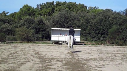 Oxand pro4 Vedène 08-11-14 - Dressage part1