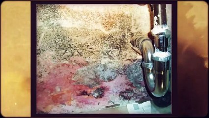 Home Inspectors in Dayton Ohio Explains Mold