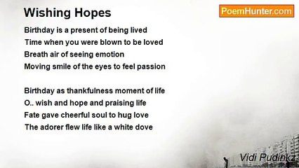 Vidi Pudinkz - Wishing Hopes
