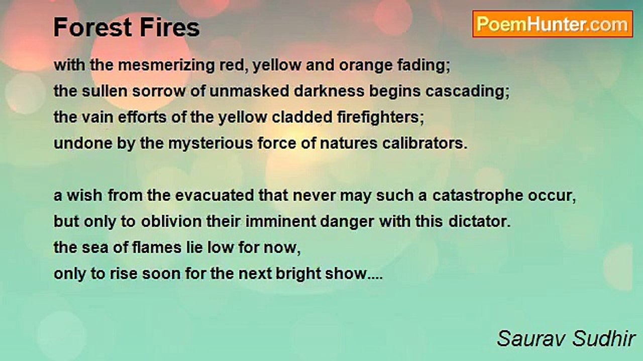 Saurav Sudhir - Forest Fires