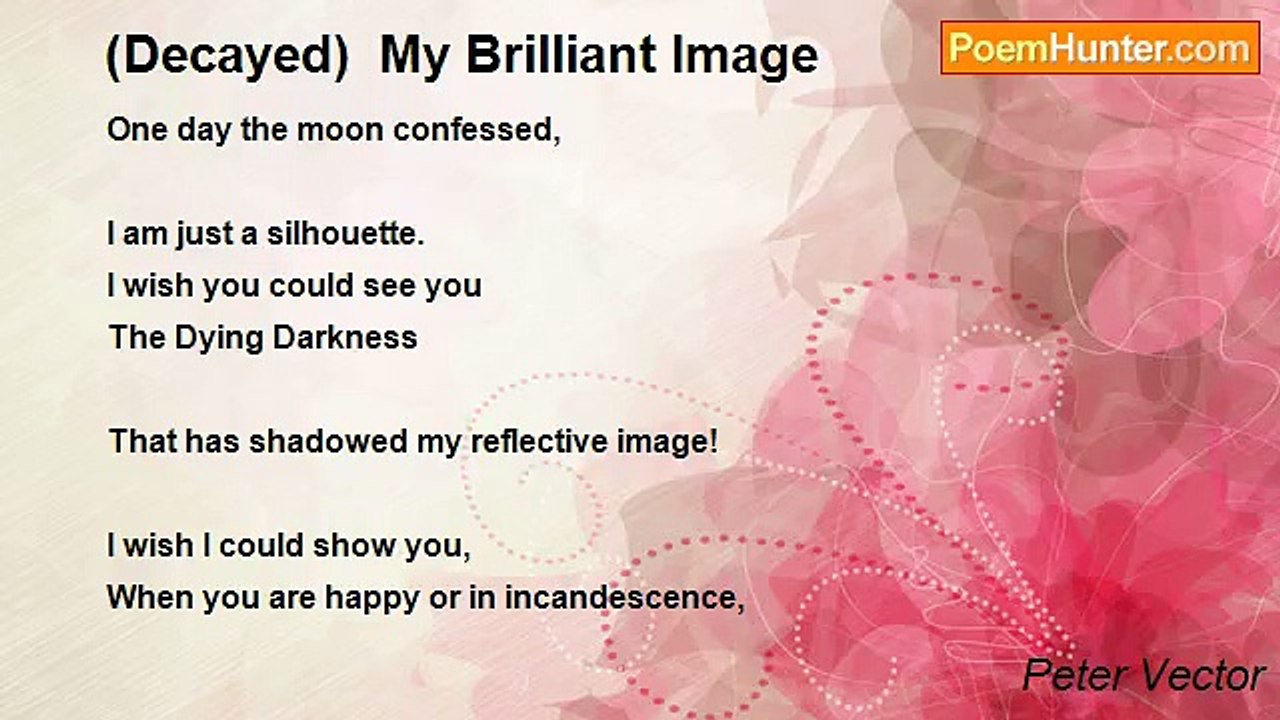 Peter Vector - (Decayed)  My Brilliant Image