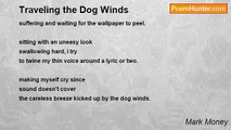Mark Money - Traveling the Dog Winds
