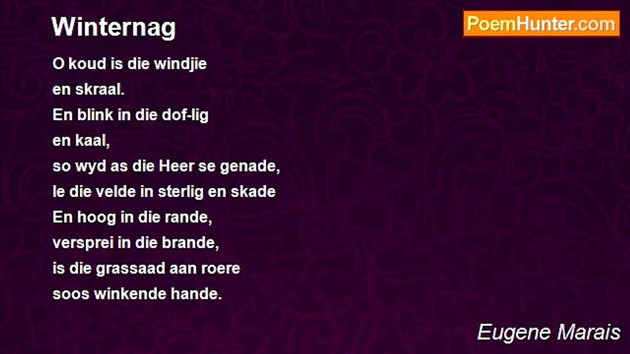 Eugene Marais - Winternag