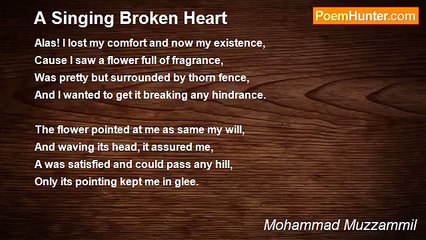 Mohammad Muzzammil - A Singing Broken Heart