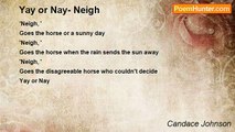 Candace Johnson - Yay or Nay- Neigh