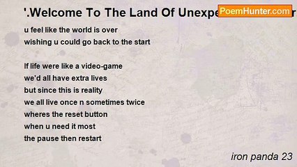 iron panda 23 - '.Welcome To The Land Of Unexpected Disaster.'