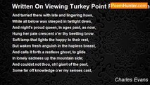 Charles Evans - Written On Viewing Turkey Point From A Distance