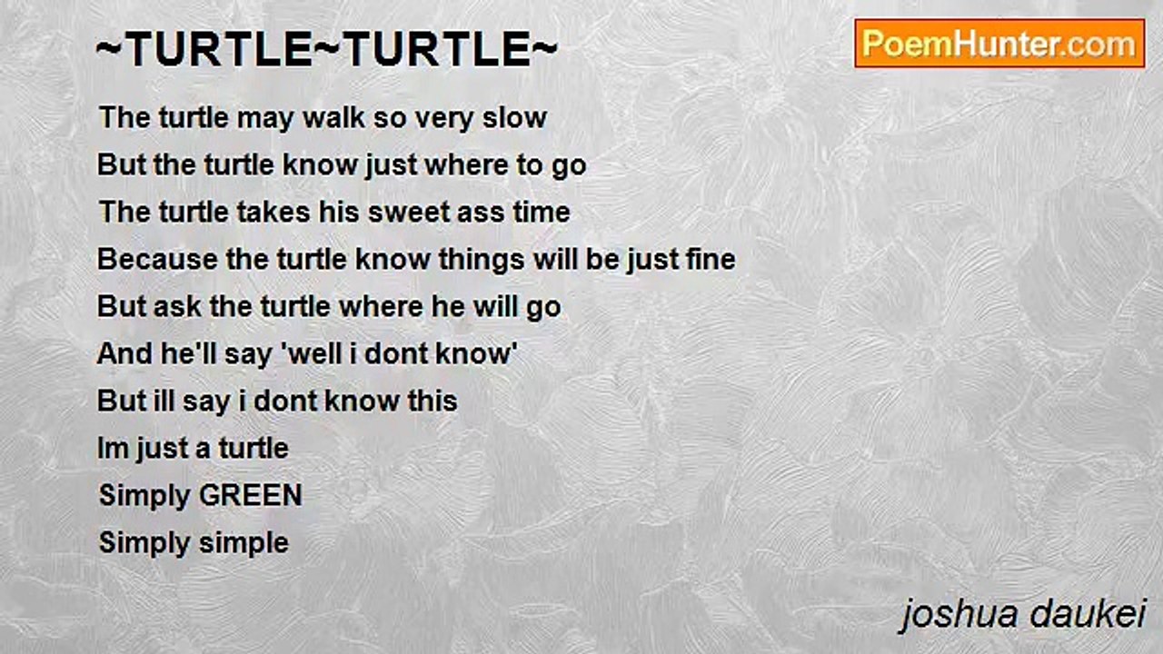joshua daukei - ~TURTLE~TURTLE~
