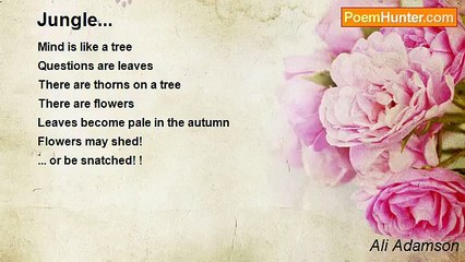 Ali Adamson - Jungle...