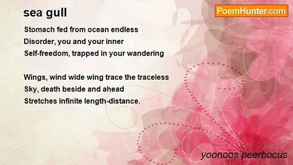 yoonoos peerbocus - sea gull
