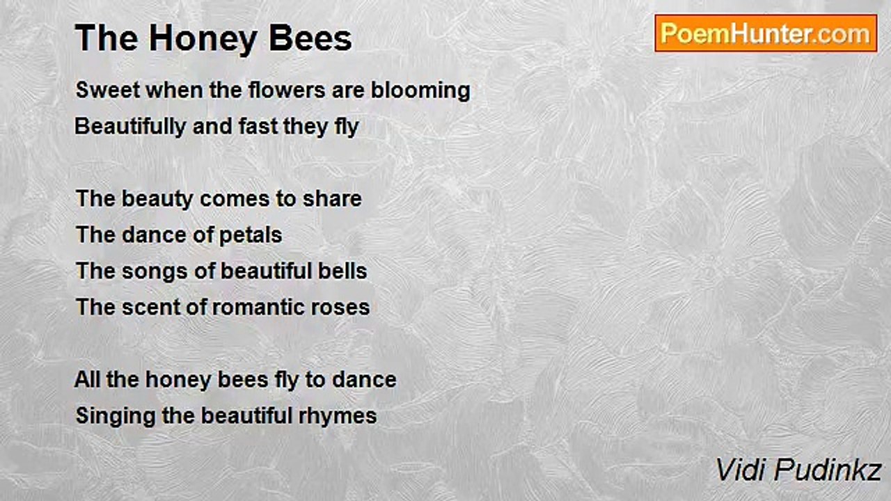 Vidi Pudinkz - The Honey Bees