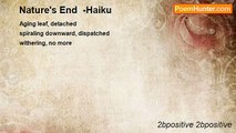 2bpositive 2bpositive - Nature's End  -Haiku