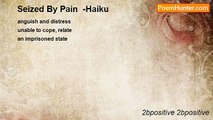2bpositive 2bpositive - Seized By Pain  -Haiku