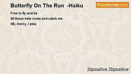2bpositive 2bpositive - Butterfly On The Run  -Haiku
