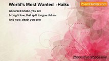 2bpositive 2bpositive - World's Most Wanted  -Haiku