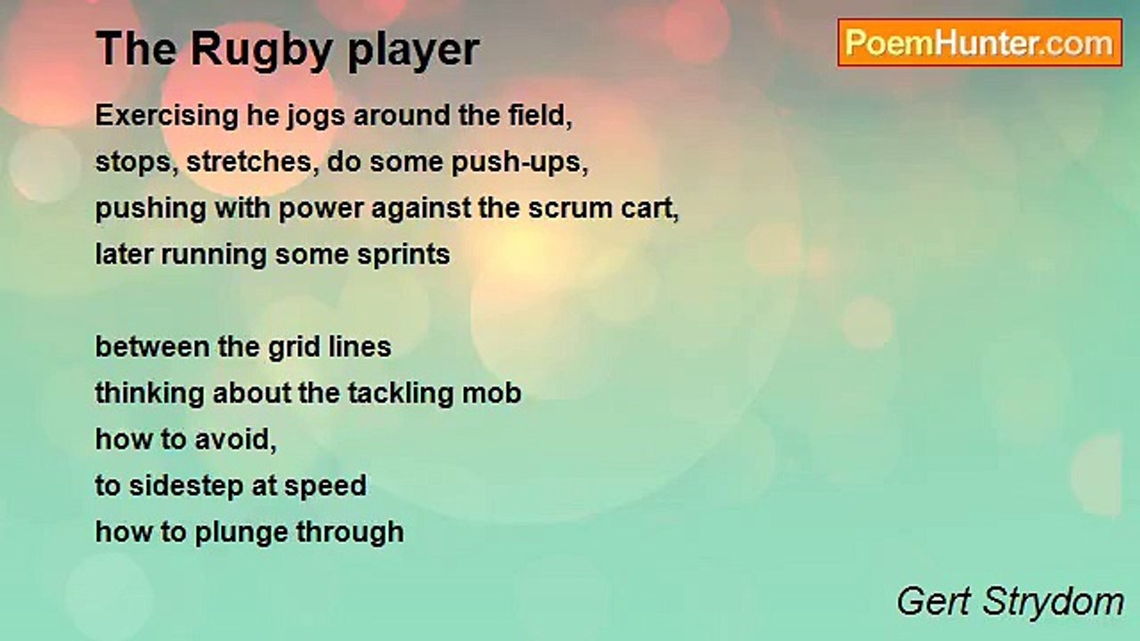 Gert Strydom - The Rugby player