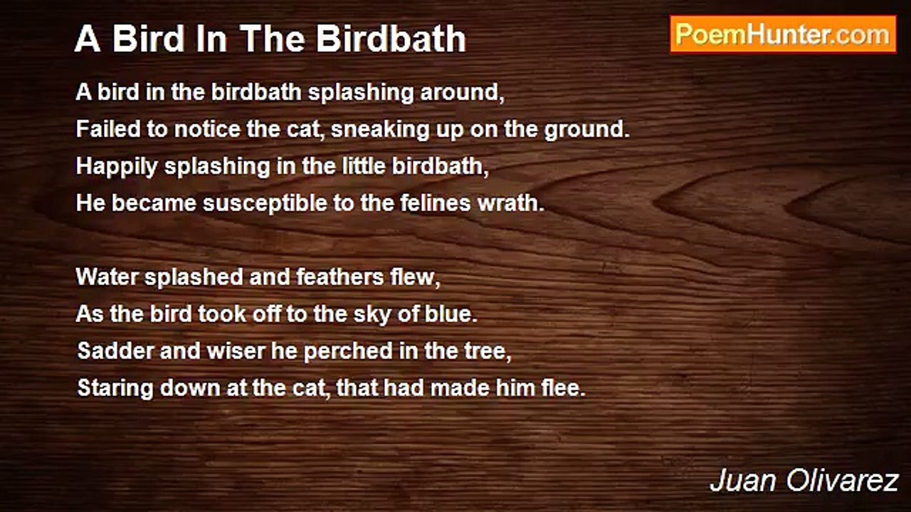 Juan Olivarez - A Bird In The Birdbath