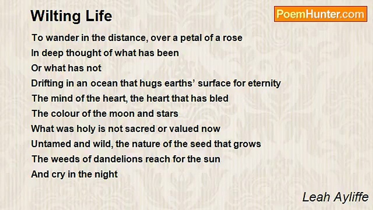Leah Ayliffe - Wilting Life