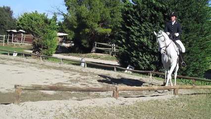 Oxand pro4 Vedène 08-11-14 - Dressage part2