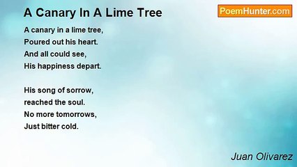 Juan Olivarez - A Canary In A Lime Tree