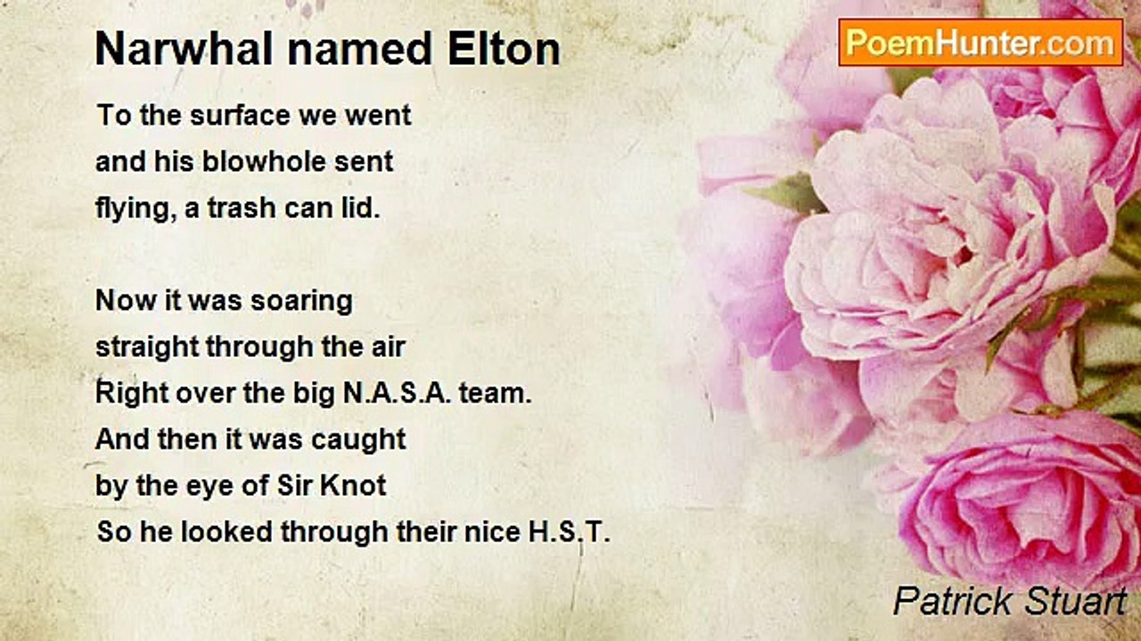 Patrick Stuart - Narwhal named Elton