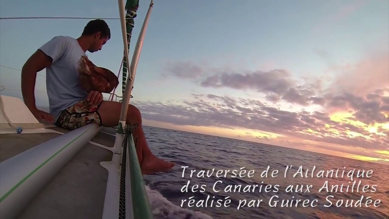Traversée de l'Atlantique avec Monique la poule