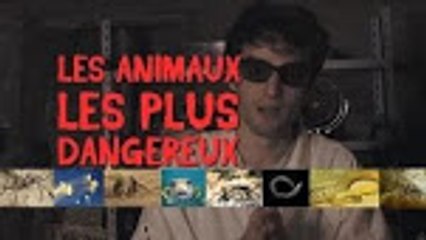 LES ANIMAUX LES PLUS DANGEREUX !!