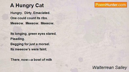 Walterrean Salley - A Hungry Cat