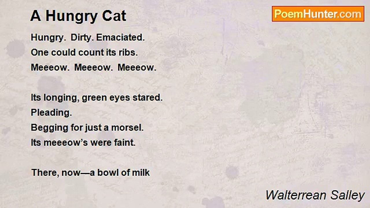 Walterrean Salley - A Hungry Cat