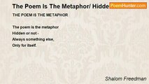 Shalom Freedman - The Poem Is The Metaphor/ Hidden Or Not