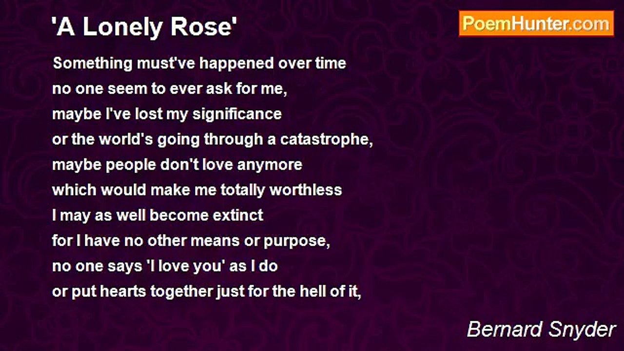 Bernard Snyder - 'A Lonely Rose'