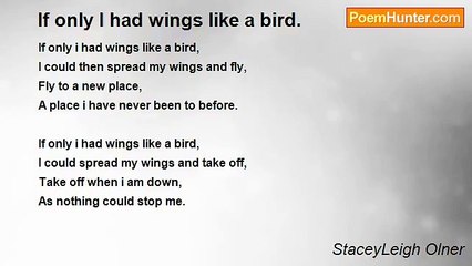 StaceyLeigh Olner - If only I had wings like a bird.