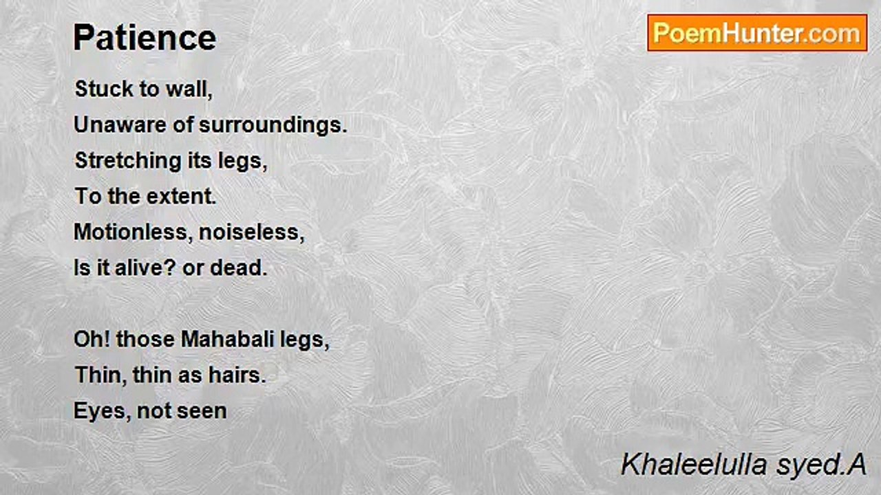 Khaleelulla syed.A - Patience