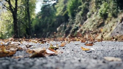 La Ferrari California T à Monte Carlo