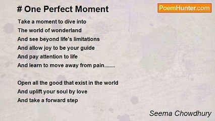 Seema Chowdhury - One Perfect Moment