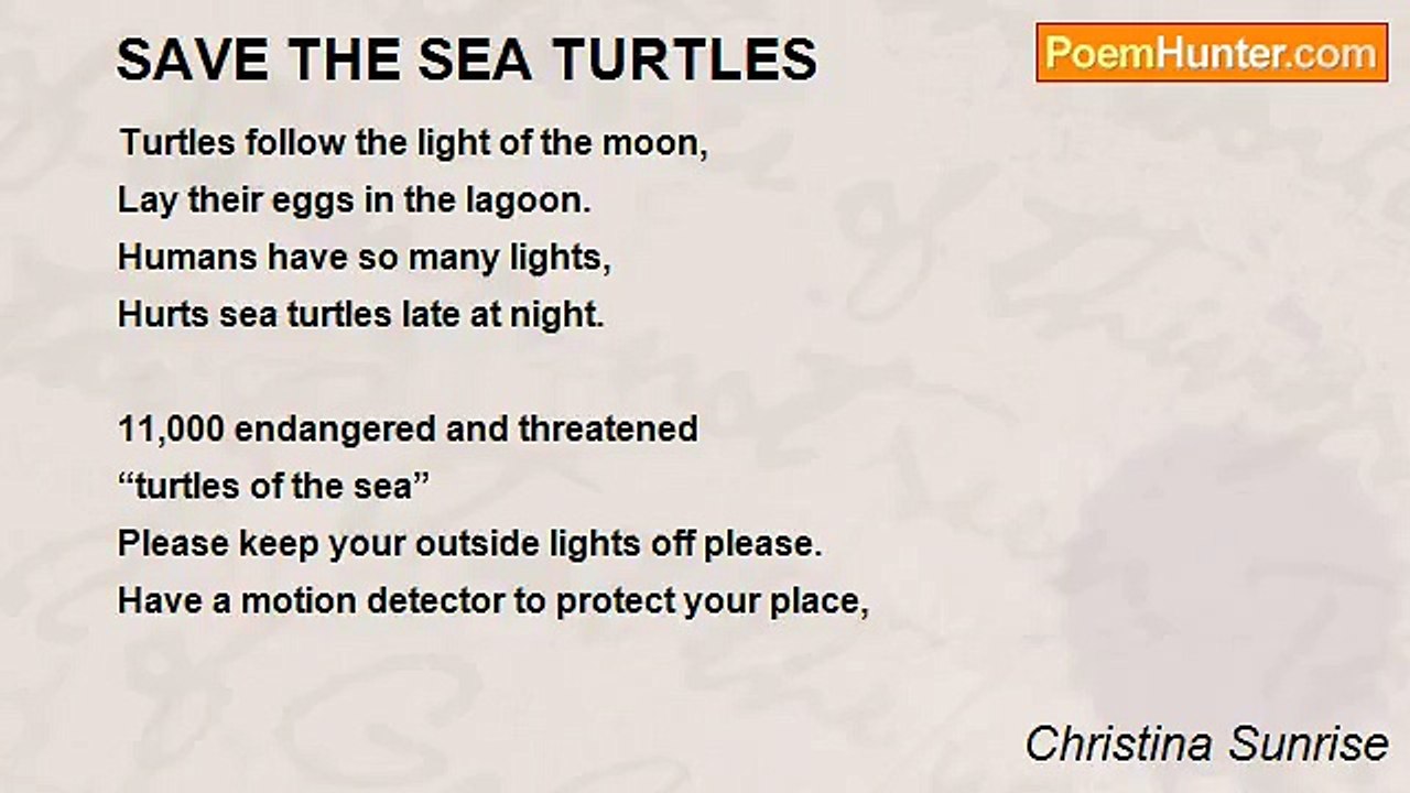 Christina Sunrise - SAVE THE SEA TURTLES