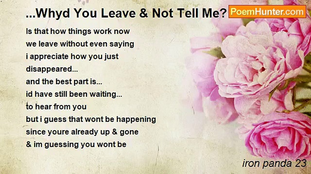 iron panda 23 - ...Whyd You Leave & Not Tell Me...