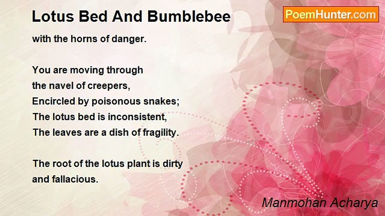 Manmohan Acharya - Lotus Bed And Bumblebee