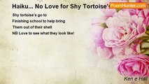 Ken e Hall - Haiku... No Love for Shy Tortoise’s