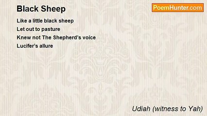 Udiah (witness to Yah) - Black Sheep