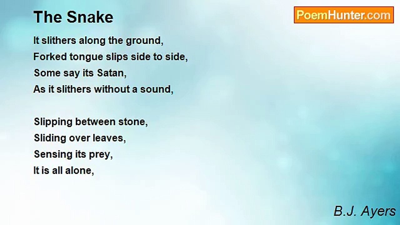 B.J. Ayers - The Snake