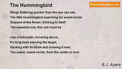 B.J. Ayers - The Hummingbird