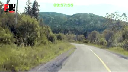 [+18 ~ Sexy Funny Girl]Australian Dump Hudge Shit On The Road - FAILS WORLD