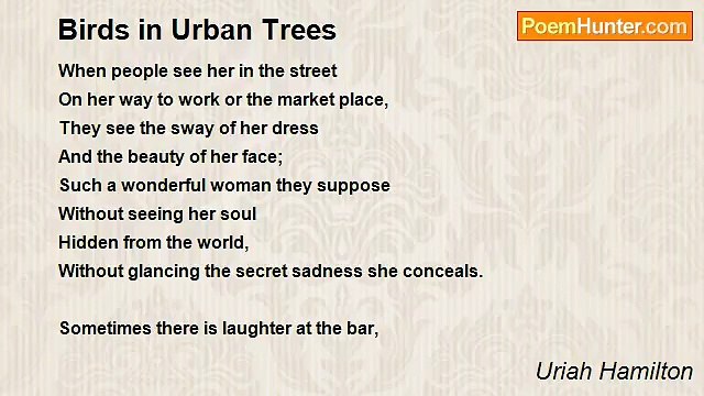 Uriah Hamilton - Birds in Urban Trees