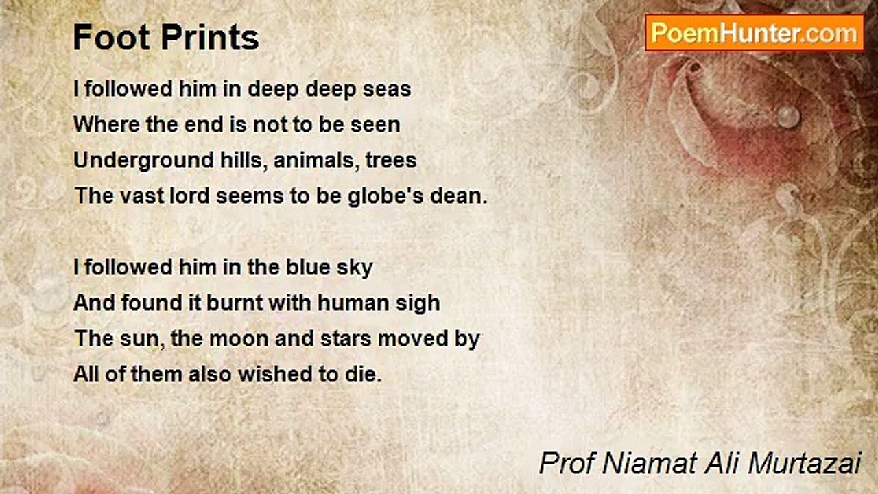 Prof Niamat Ali Murtazai - Foot Prints