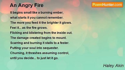 Haley Akin - An Angry Fire