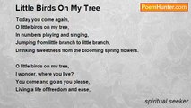 spiritual seeker - Little Birds On My Tree