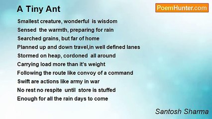 Santosh Sharma - A Tiny Ant