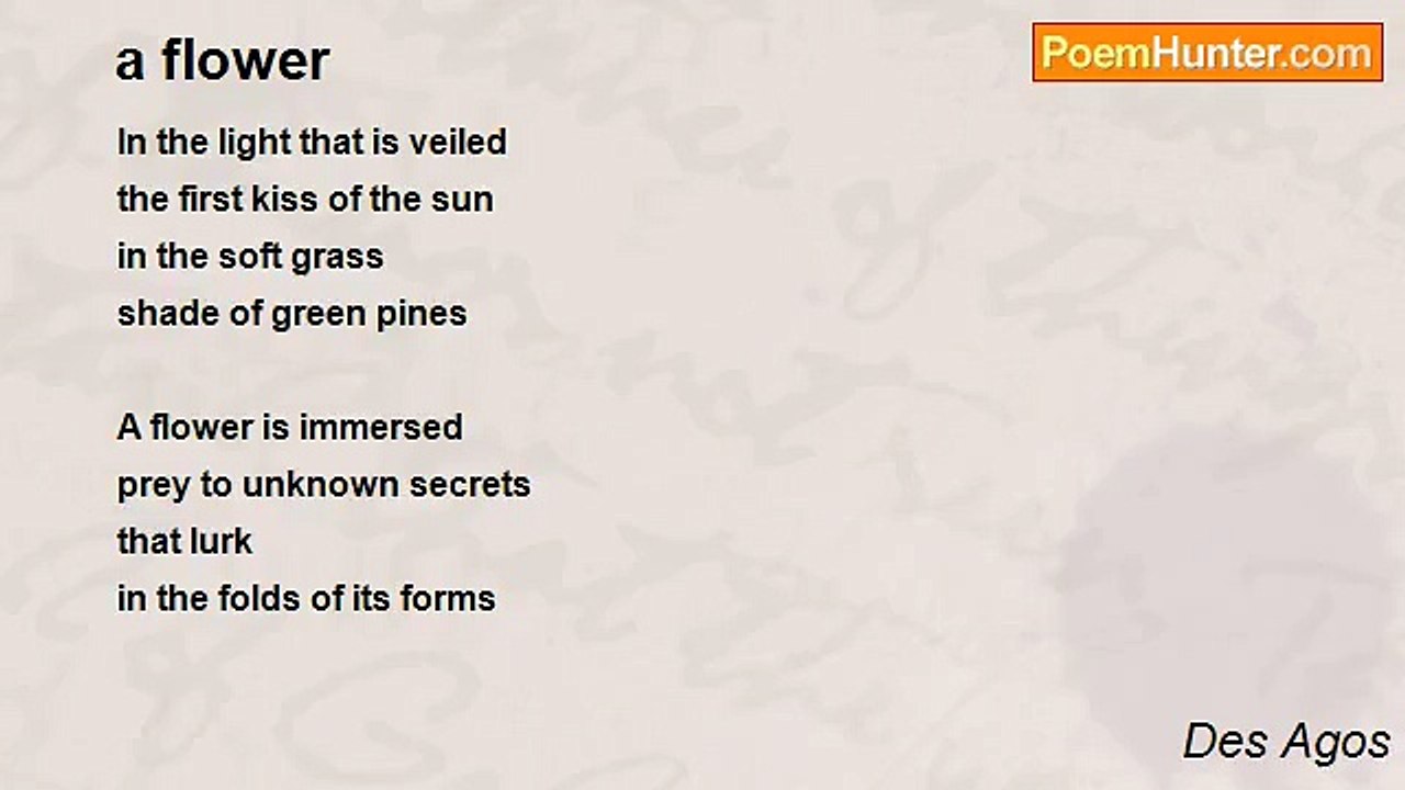 Des Agos - a flower