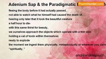 andrew delapruch - Adenium Sap & the Paradigmatic Element of Life